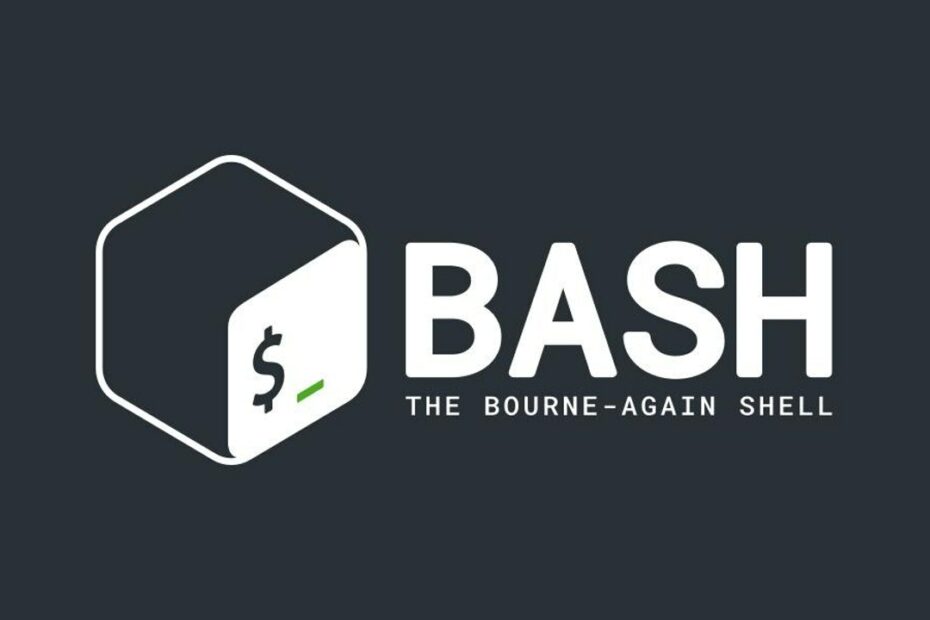 Logo Bash