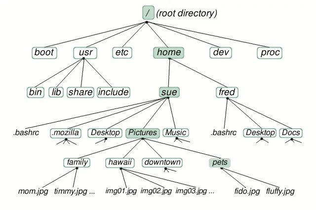 Shell Bash - arborescence Linux